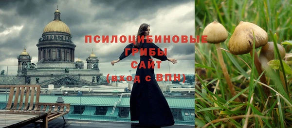 бошки Медвежьегорск