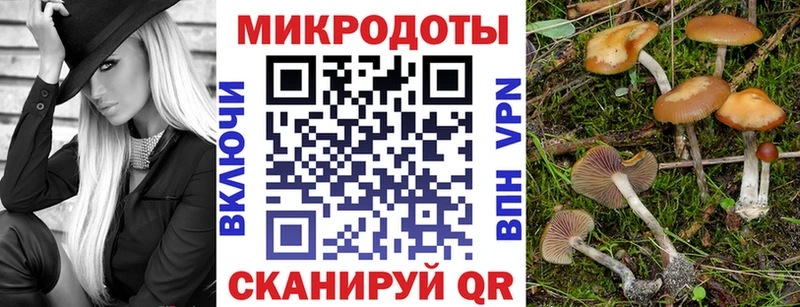 Псилоцибиновые грибы мицелий  Купить закладки  Старица 